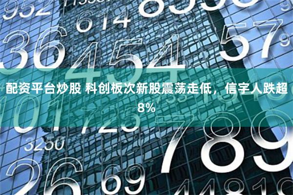 配资平台炒股 科创板次新股震荡走低，信宇人跌超8%