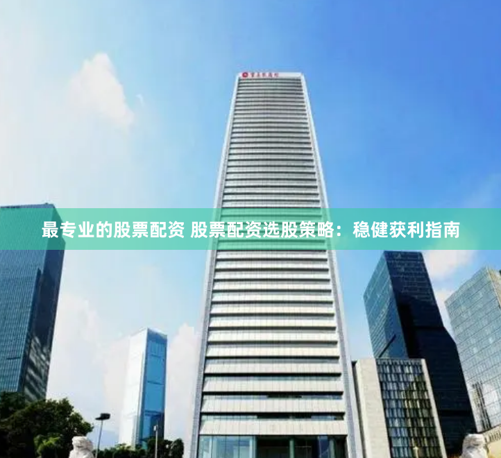 最专业的股票配资 股票配资选股策略：稳健获利指南