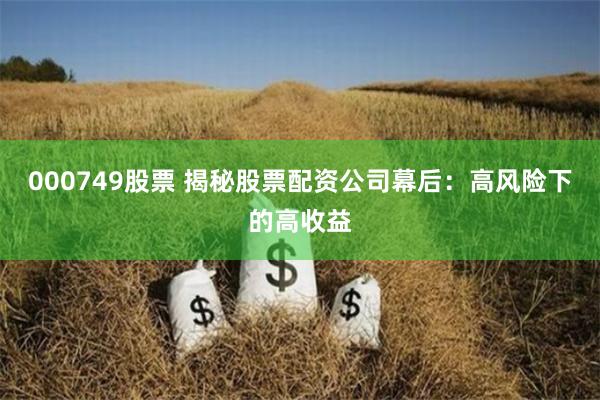000749股票 揭秘股票配资公司幕后：高风险下的高收益